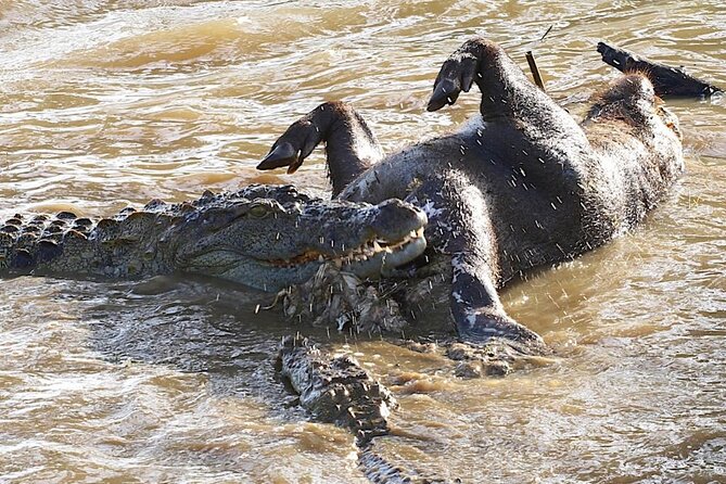 Explore The Beauty Of Udawalawe National Park From South Coast During 01 Day - Who will enjoy this day most