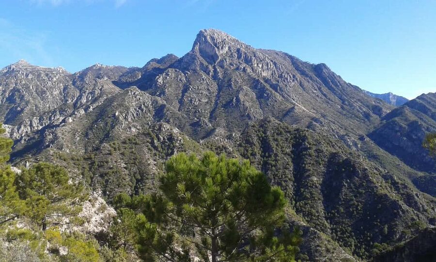 Explore the Nerja National Park nature in our open-top jeeps - Riding the open-top 4x4 into the park