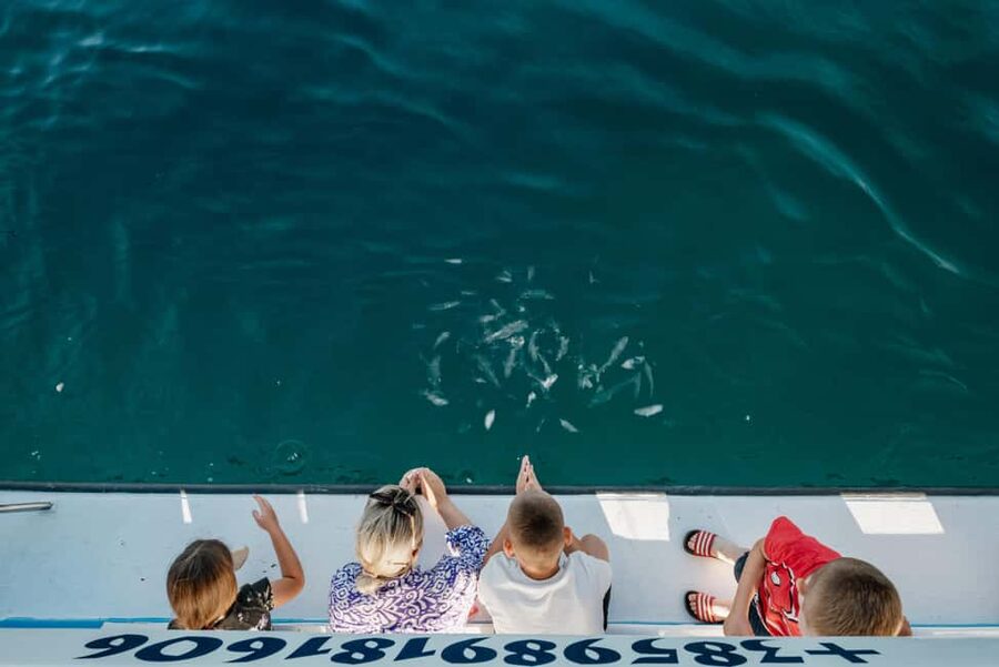 Fažana: Glass Boat Tour of Brijuni National Park - Key points to know before you book