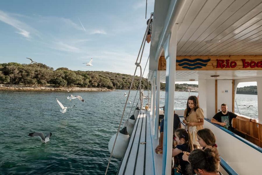 Fažana: Glass Boat Tour of Brijuni National Park - The fish-filled waters near the island’s last point