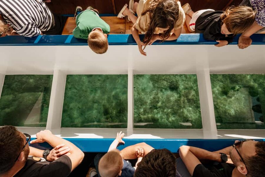 Fažana: Glass Boat Tour of Brijuni National Park - Who will enjoy this boat ride most