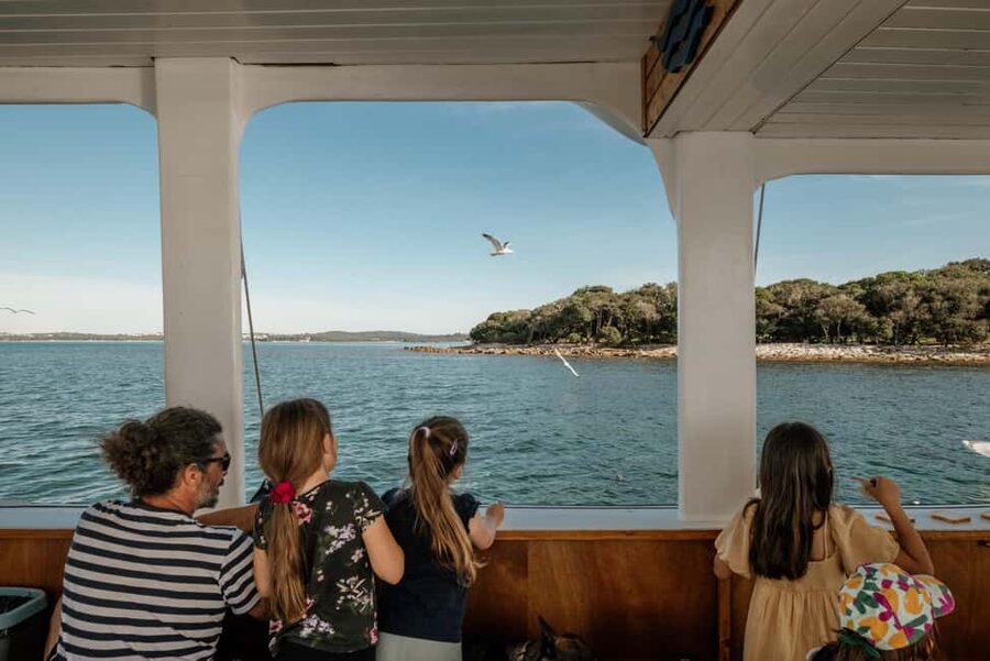 Fažana: Glass Boat Tour of Brijuni National Park - Two decks, two different moods