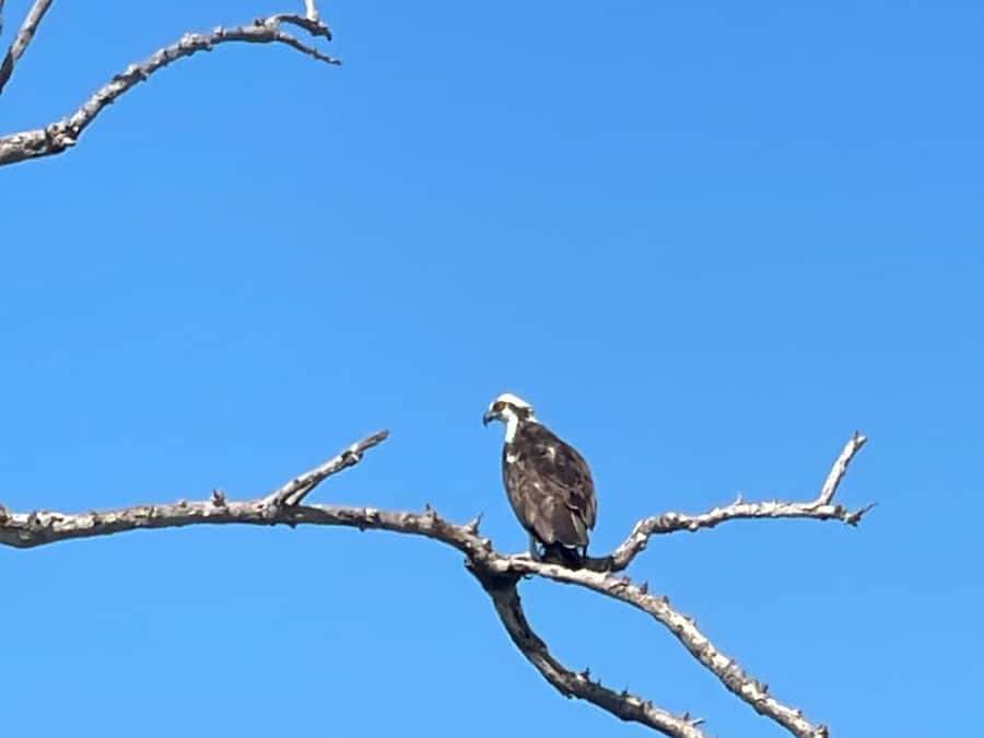 Fort Pierce: Prehistoric Preserve Kayak Tour - Reaching the secluded launch site