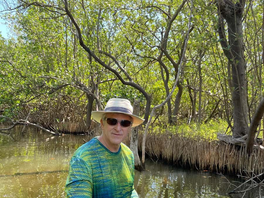Fort Pierce: Prehistoric Preserve Kayak Tour - What makes the mangrove tunnels special