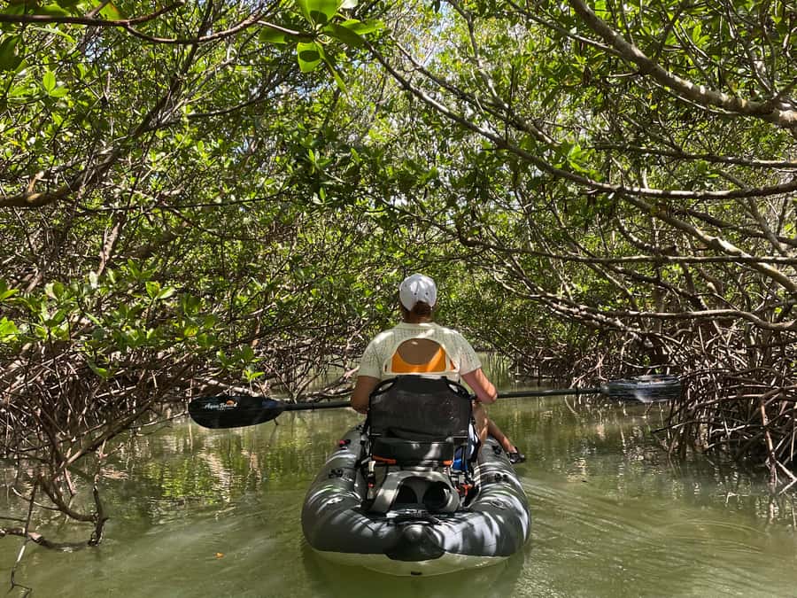 Fort Pierce: Prehistoric Preserve Kayak Tour - The first paddle through Fort Pierce’s mangrove jungle