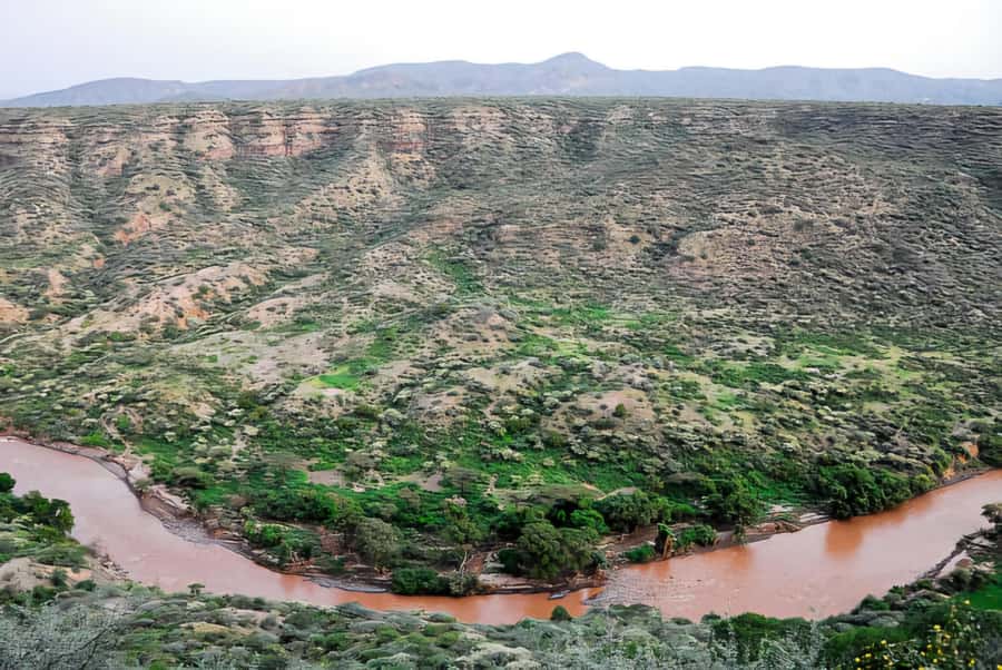 From Addis Ababa: Day Trip To Awash National Park - Key points to know before you book