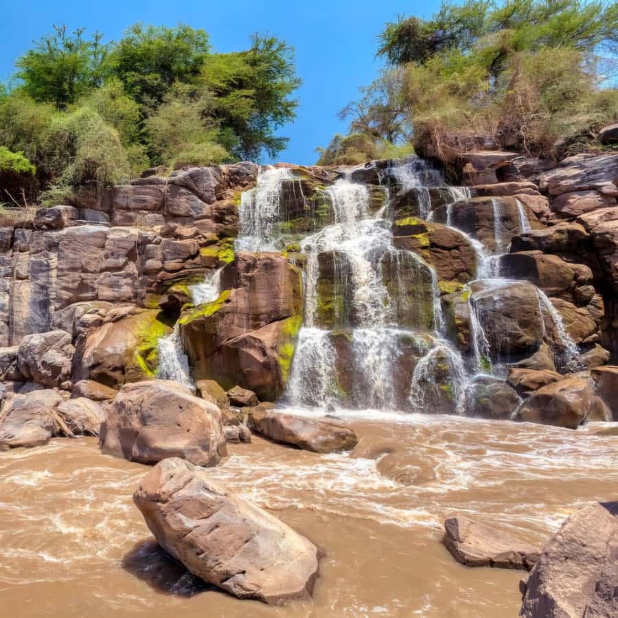 From Addis Ababa: Day Trip To Awash National Park - Why this Awash day trip is worth considering