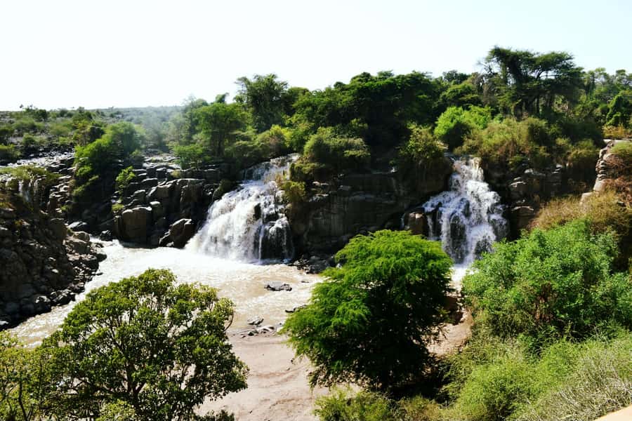 From Addis Ababa: Day Trip To Awash National Park - Lunch, lodge time, and the practical middle of the day