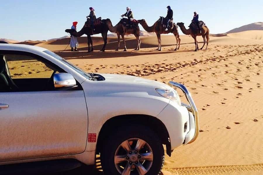 From Agadir: Souss-Massa National Park Tour with Lunch - The Morning Drive From Agadir to Souss-Massa