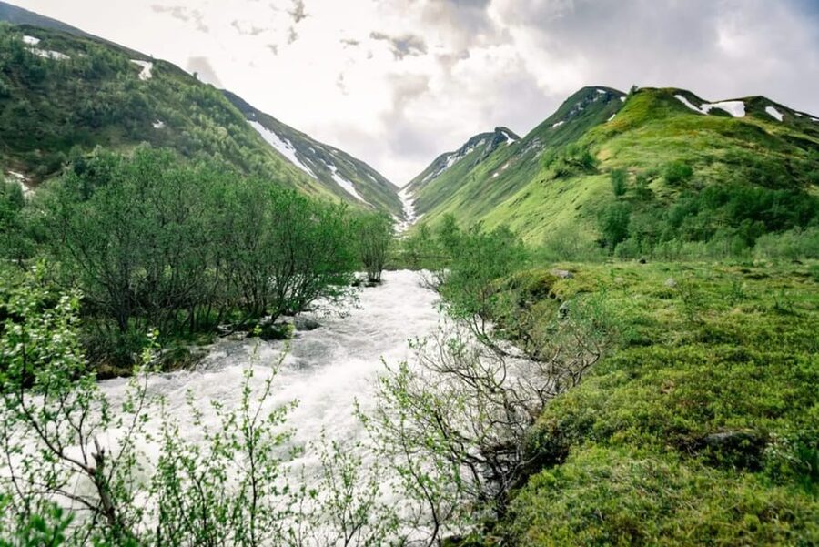 From Alta: Experience Seiland National Park - Weather, comfort, and physical demands