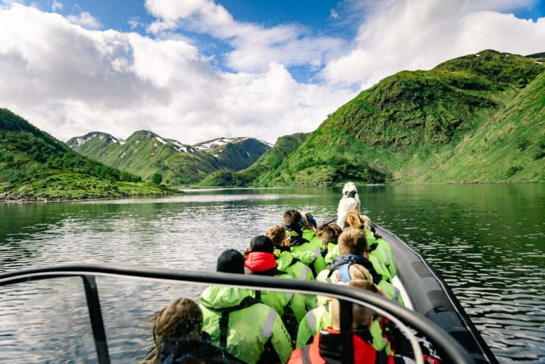From Alta: Experience Seiland National Park - Altafjord views on the way to Seiland
