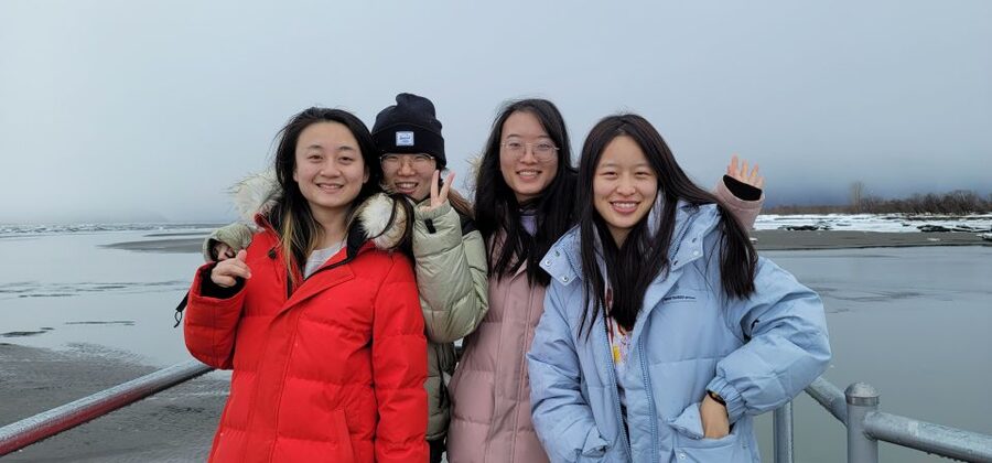 From Anchorage: Wilderness, Wildlife, & Glacier Experience - Who should book this experience?