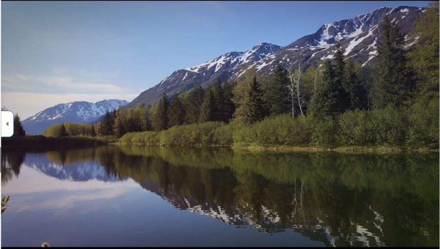 From Anchorage: Wilderness, Wildlife, & Glacier Experience - Why this Anchorage day trip works well