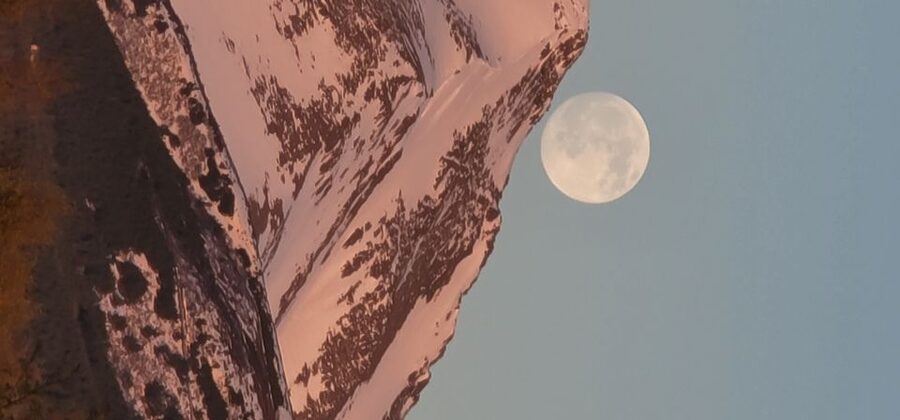 From Anchorage: Wilderness, Wildlife, & Glacier Experience - Chugach National Forest and permitted viewpoints
