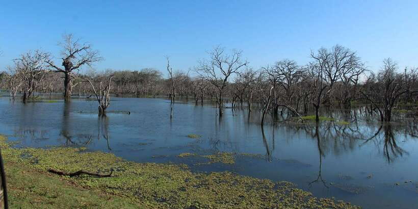 From Arugambay : Yala National Park Safari & Dropoff in Ella - Who should book this trip?
