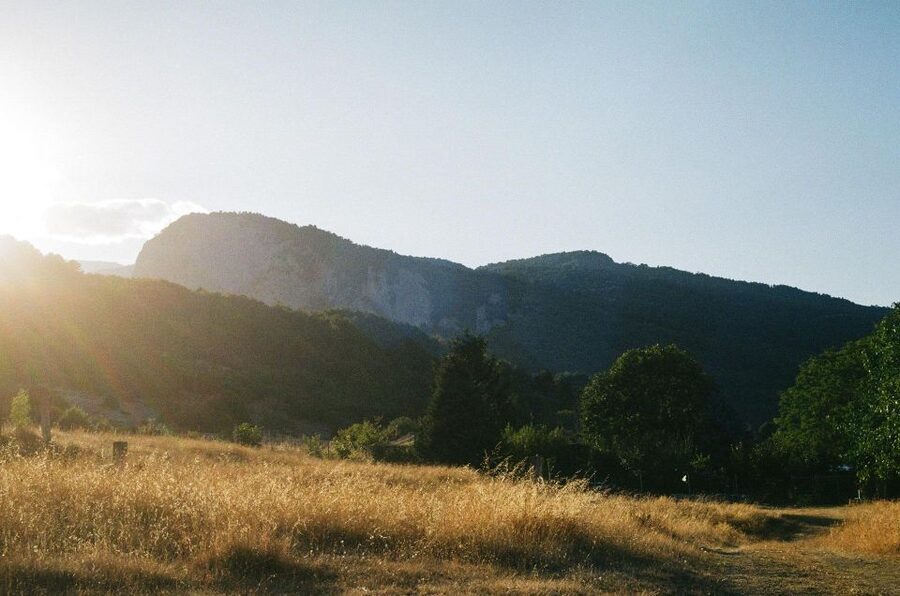 From Athens: Mt. Olympus National Park Guided Day Tour - What the Guide Adds