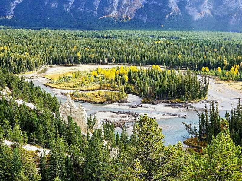 From Banff/Canmore: Deep 1 Day Tour in Banff National Park - Quick points to know