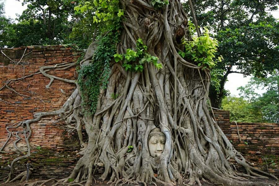 From Bangkok: Ayutthaya & Khao Yai National Park Day Trip - Wat Yai Chai Mongkhon and the reclining Buddha