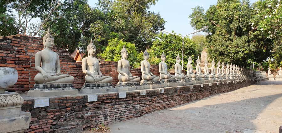 From Bangkok: Ayutthaya & Khao Yai National Park Day Trip - Leaving Bangkok in a comfortable vehicle