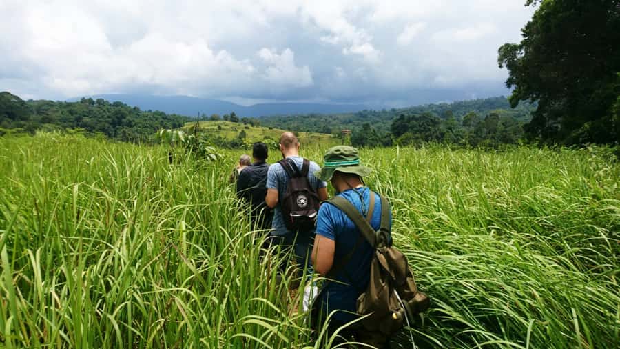 From Bangkok: Khao Yai National Park Jungle Trek with Lunch - Key points to know before booking