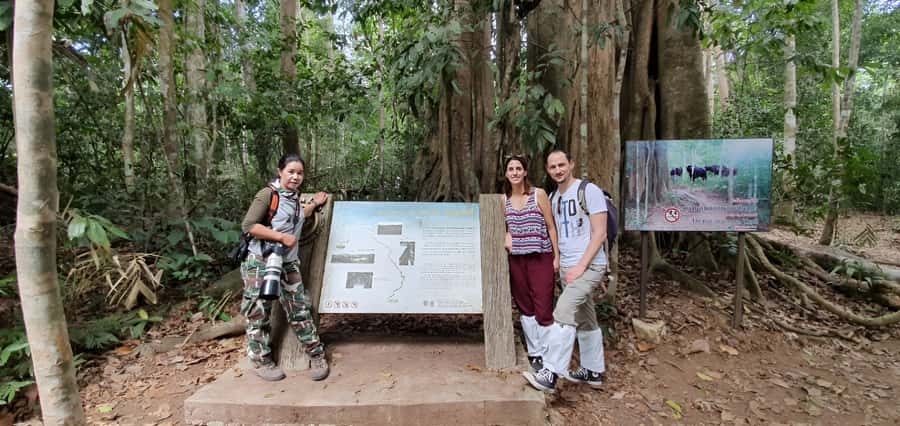 From Bangkok: Khao Yai National Park Jungle Trek with Lunch - Visitor Center: useful context after the trail