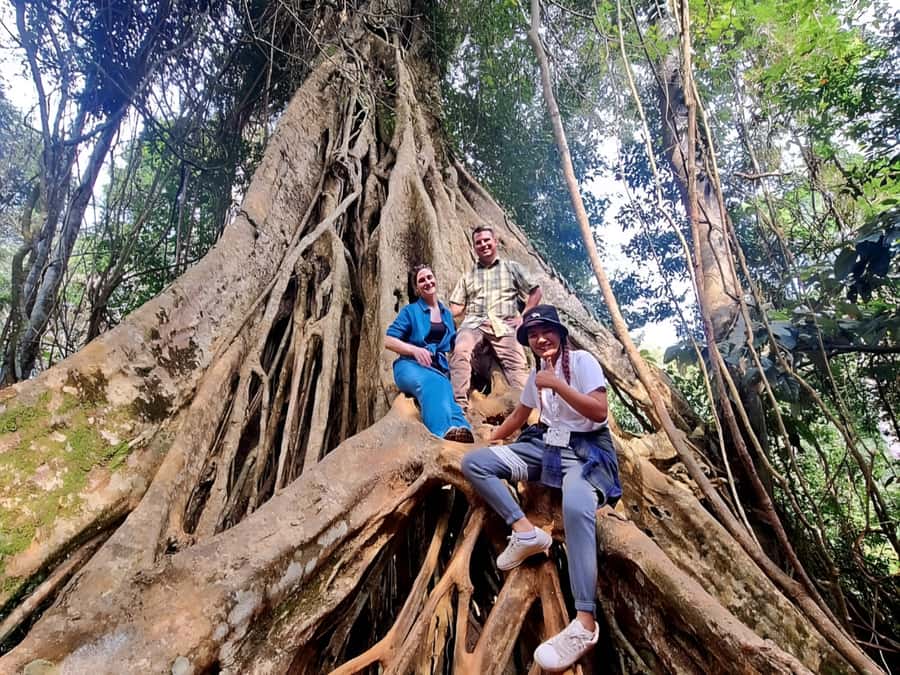 From Bangkok: Khao Yai National Park Jungle Trek with Lunch - Sai Sorn Reservoir and Haew Suwat Waterfall