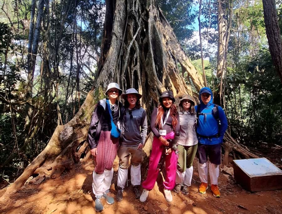 From Bangkok: Khao Yai National Park Jungle Trek with Lunch - The three-hour ride from Bangkok