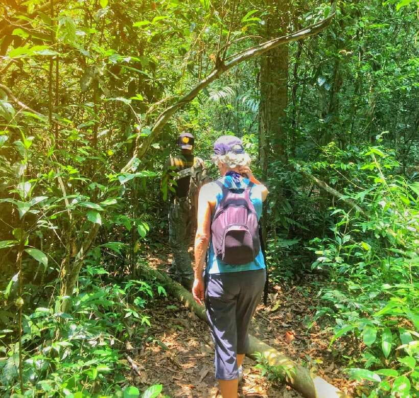 From Bangkok: Khao Yai National Park Small-Group Day Trip - KM 33 to Nong Phak Chi: the first real walk