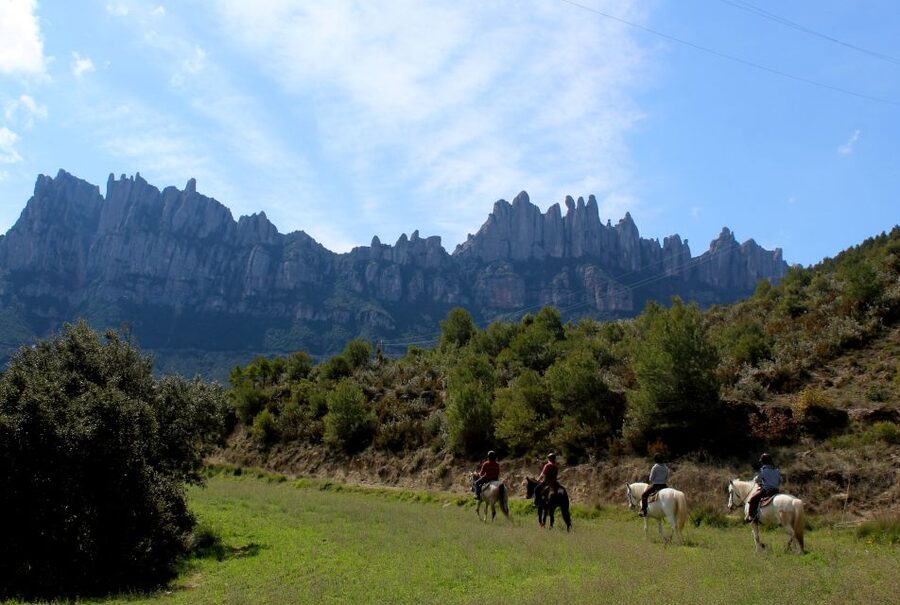 From Barcelona: Horseback Tour in Montserrat National Park - Who will enjoy this day most?