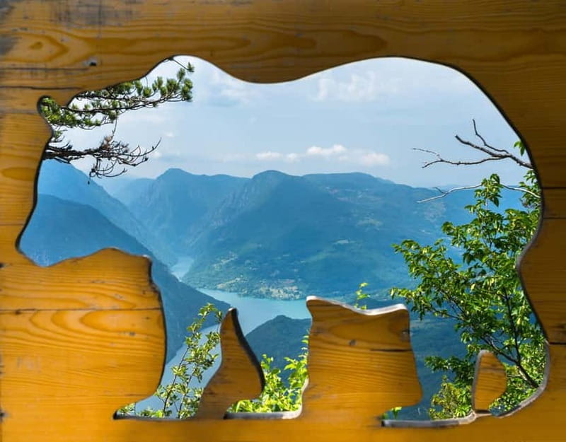 From Belgrade: Tara National Park & Drina River Valley Tour - Why this makes a strong day trip from Belgrade