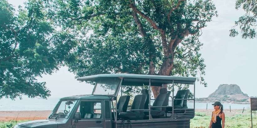 From Bentota: Full-Day Yala National Park Safari Tour - What you might see inside Yala