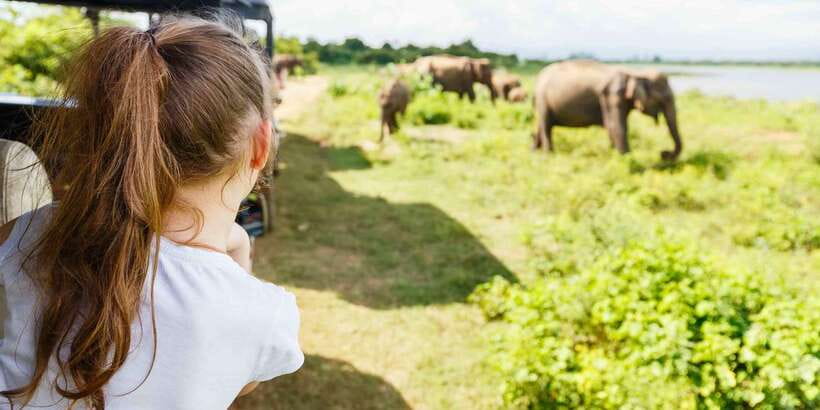 From Bentota: Full-Day Yala National Park Safari Tour - How the tour performed for past bookers