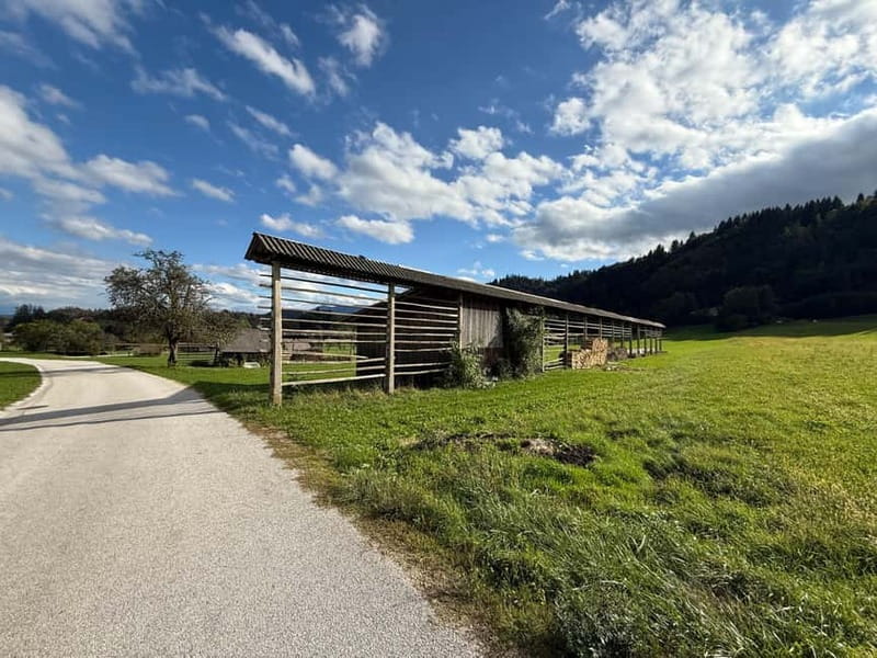 From Bled: Self Guided E-Bike Trip to Triglav National Park - Following the Radovna River Toward Krnica