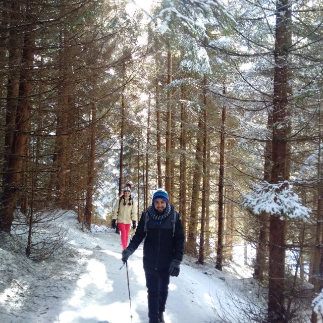 From Brasov: Piatra Craiului National Park Private Day Tour - Leaving Brasov for Piatra Craiului