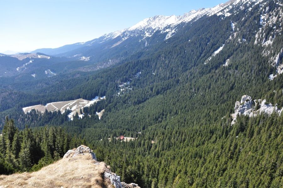 From Brasov: Piatra Craiului National Park Private Day Tour - What the $111 price really covers