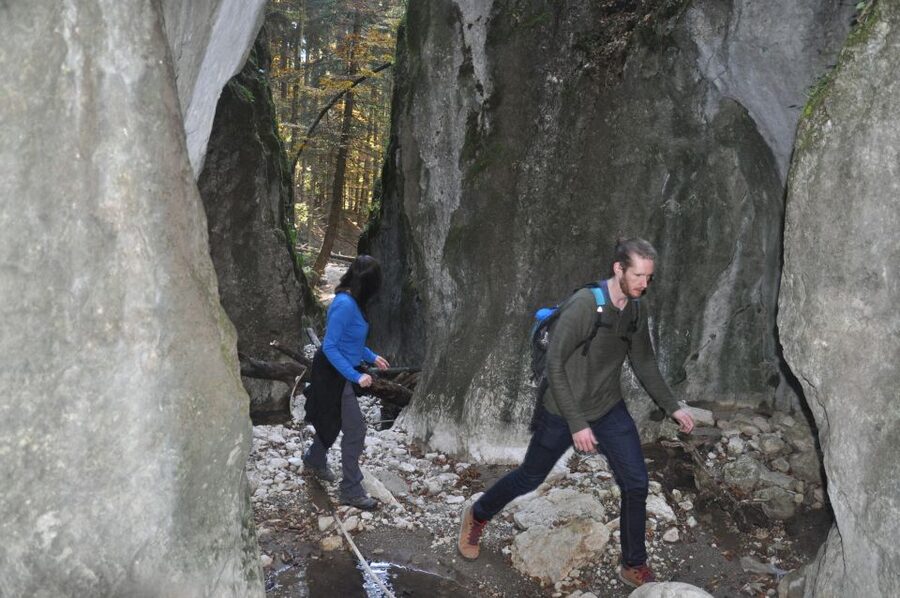 From Brasov: Piatra Craiului National Park Private Day Tour - Packing for a safer, better day
