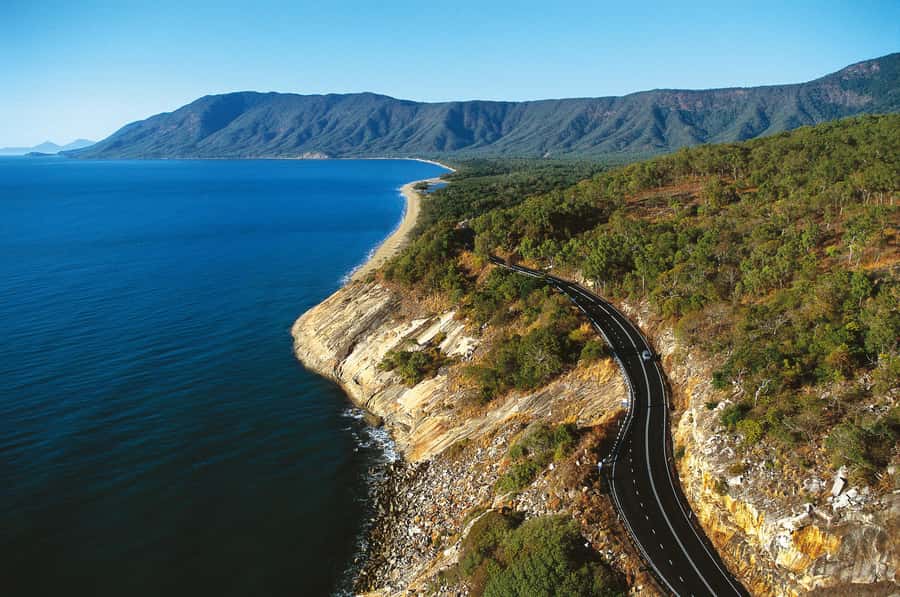 From Cairns: Daintree Wilderness & Cape Tribulation Bus Tour - Practical details for a smoother day