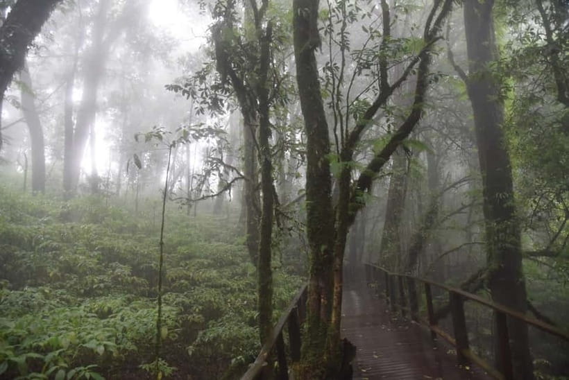 From Chiang Mai: Doi Inthanon National Park Day Trip - King and Queen Pagodas above the valleys