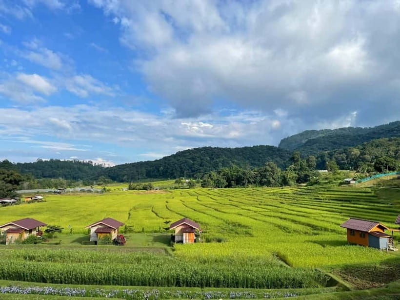 From Chiang Mai: Doi Inthanon National Park Day Trip - Hmong market finds and highland fruit