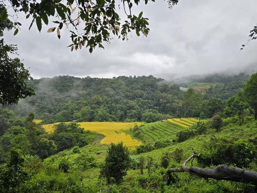 From Chiang Mai: Doi Inthanon National Park Day Trip - What the $61 price really covers