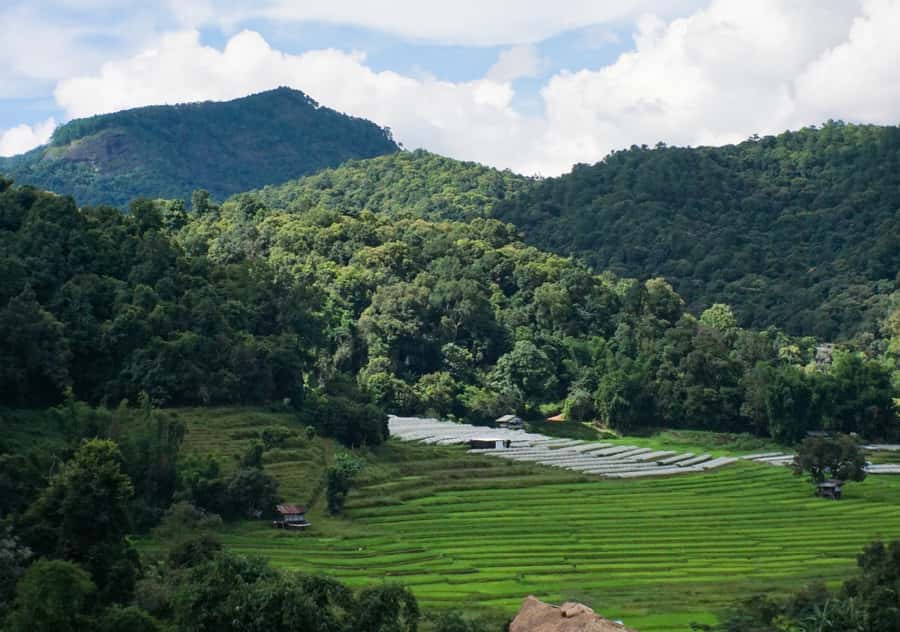 From Chiang Mai: Doi Inthanon National Park Day Trip & Hike - Key points at a glance
