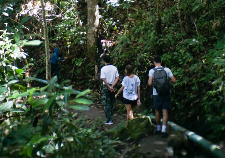 From Chiang Mai: Doi Inthanon National Park Day Trip & Hike - What the $106 price really covers