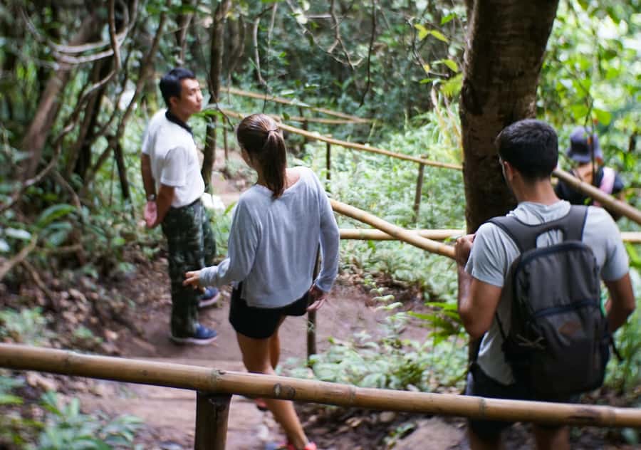 From Chiang Mai: Doi Inthanon National Park Day Trip & Hike - Why this Doi Inthanon trip is worth your day