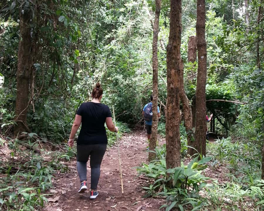 From Chiang Mai: Doi Inthanon National Park Day Trip & Hike - The twin pagodas and Hmong market
