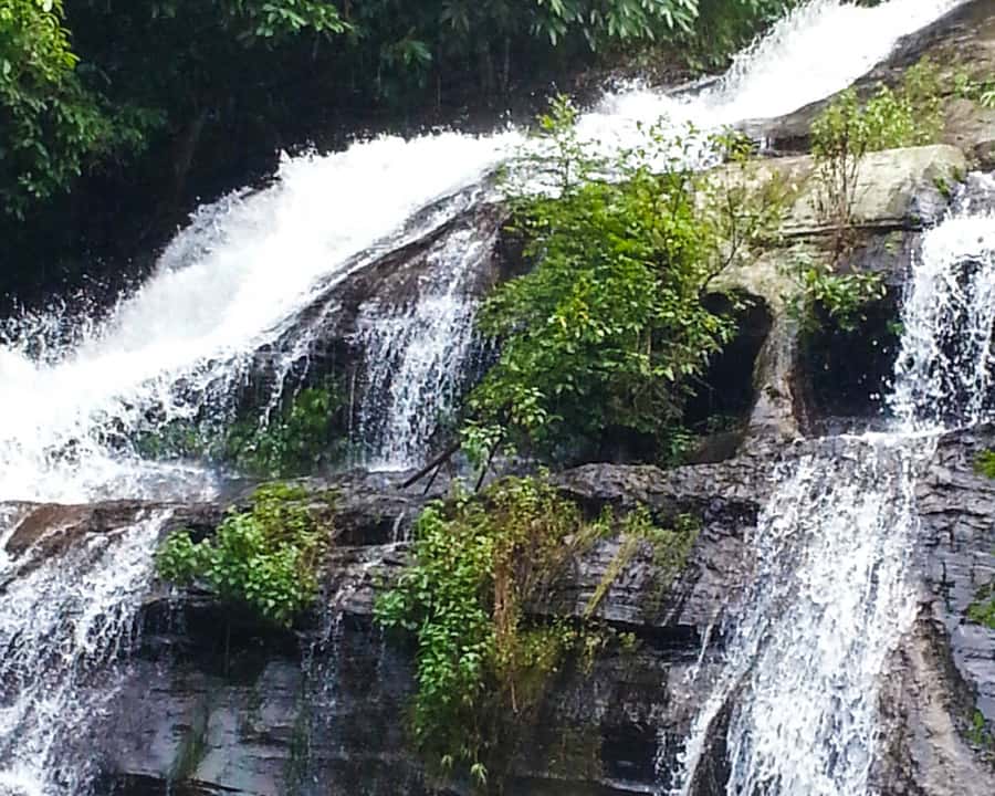 From Chiang Mai: Doi Inthanon National Park Day Trip & Hike - Pha Dok Siew: the day’s real highlight