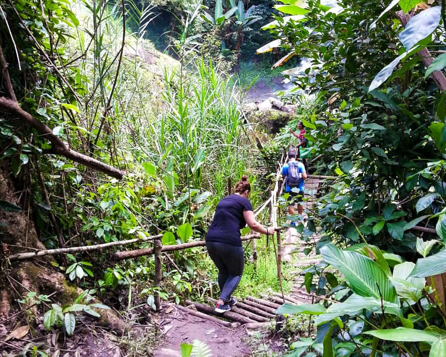From Chiang Mai: Doi Inthanon National Park Day Trip & Hike - Guides make the difference