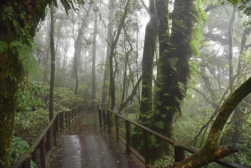 From Chiang Mai: Doi Inthanon National Park Day Trip - Reaching 2,565 meters at the summit