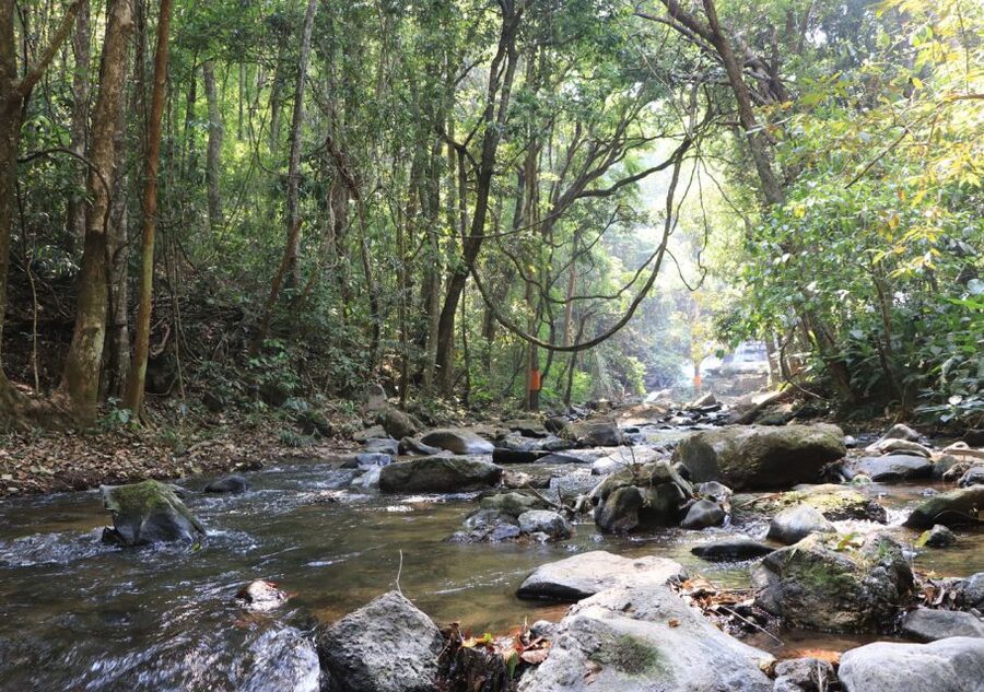 From Chiang Mai: Doi Inthanon National Park Hiking Tour - Key details worth knowing