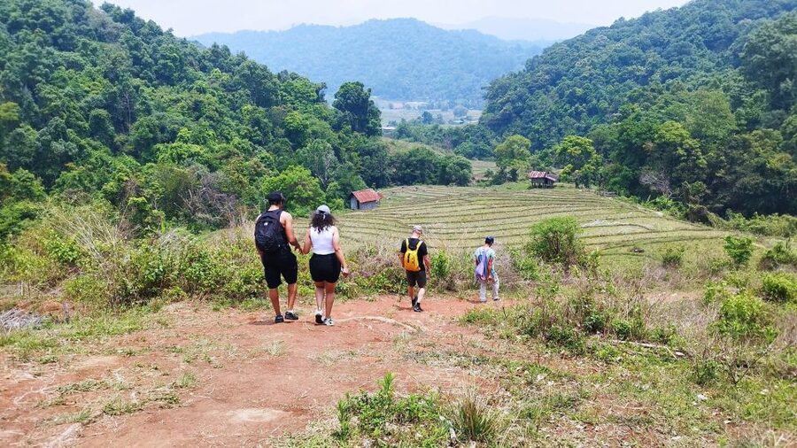 From Chiang Mai: Doi Inthanon National Park Hiking Tour - A 4-kilometer trail through forest and farmland
