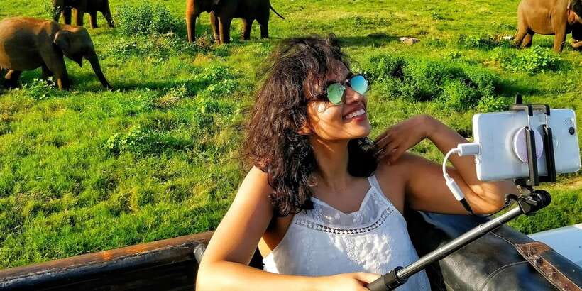 From Colombo: Private Minneriya National Park Day Safari - Key points to know before booking
